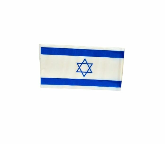 12 יח' דגל על מקל