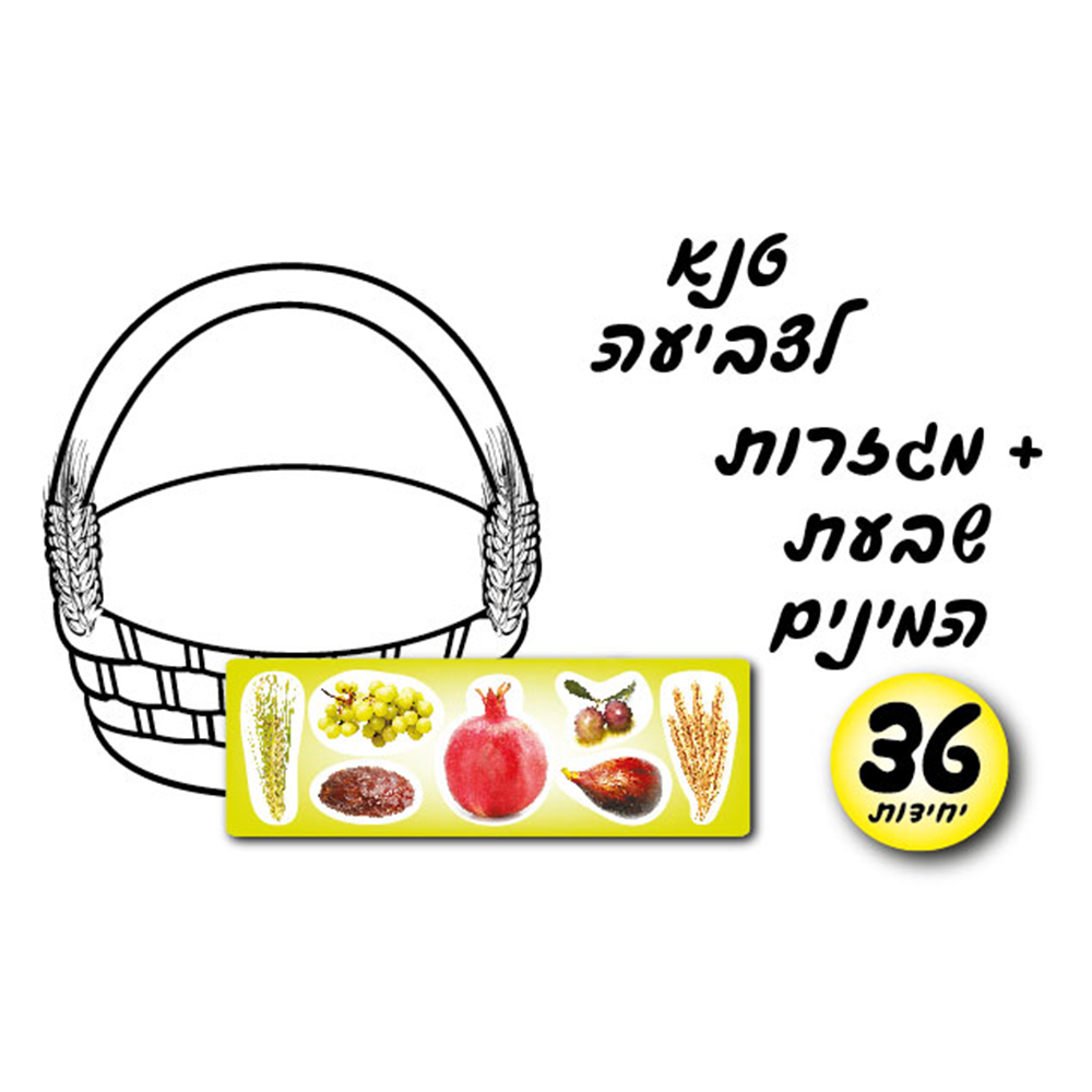 מארז 36 יח' טנא לצביעה