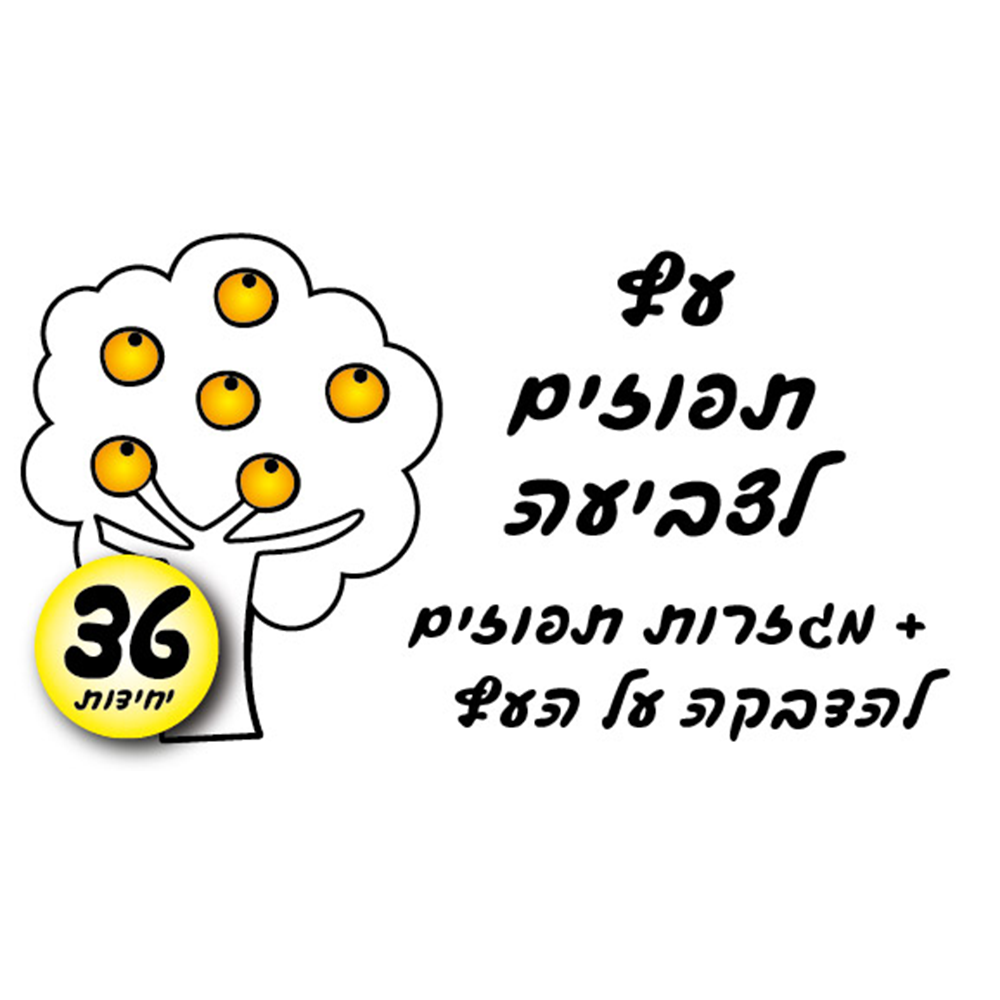 מארז 36 יח' עץ תפוזים