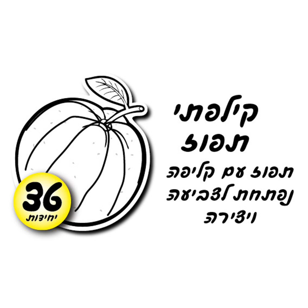 מארז 36 יח' ערכת יצירה תפוז