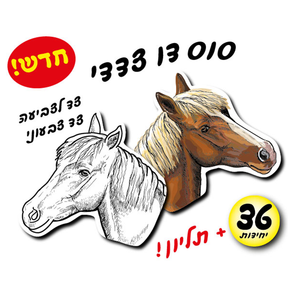 מארז 36 יח' סוס דו צדדי